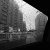 vansinh_6677