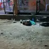 bilaldonald
