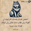 sidahmed2654