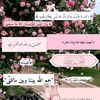 amina62434