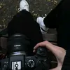 molsn10