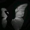always_putt66