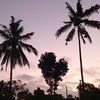 dika._082