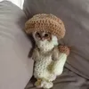fmraarncz