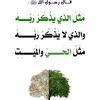 user7956926271808