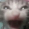 le0zzz5
