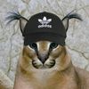 gulnaz.akhmet0