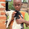 Care For Cats Rescue