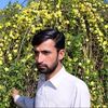 ramzan.shah8159