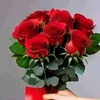 user3453480618244