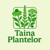 taina.plantelor
