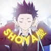 shoyaed1ts