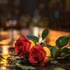 mohammed.alyan0