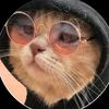 gatito_prime