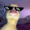 coolaron3