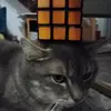 darklymou
