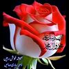 i.mran..bhatti