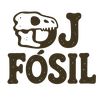 dj_fosil