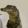 gttm.rex
