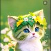 beby.comel81