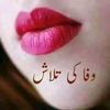 kpkstar456