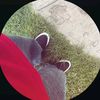 kev_inx77