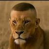 trong_er