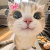 librrr_gmnii