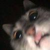 glxsyuu_