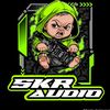 skraudio2