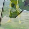 hazartali730