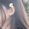 nusrat.n46