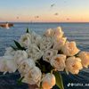 user26000418429131