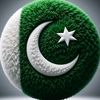 cheema5031