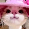 maliha.tabassum568