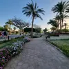 neha.1607