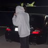 ledbeu