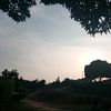 faelciw8