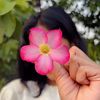 fatima.ki.duniya7