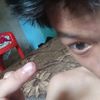 www.tiktokytbangpen
