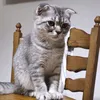 anamariatudose75