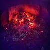 ryan_surron_aus