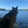 josefiina_jenni