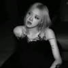 fan.blackpink.b.r