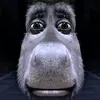 ntnabby