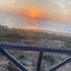 emilyyalr16