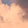 user88182213177