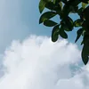 nguoithanbi18