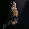 shin.tin.sport.ba