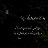 zxzx.tayyaba